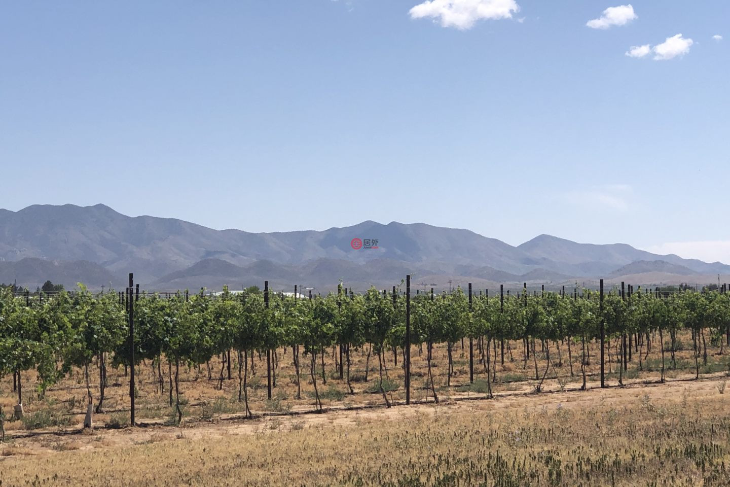 美国亚利桑那州威尔科克斯的酒庄，8401 S Bell Ranch Road，编号66729531