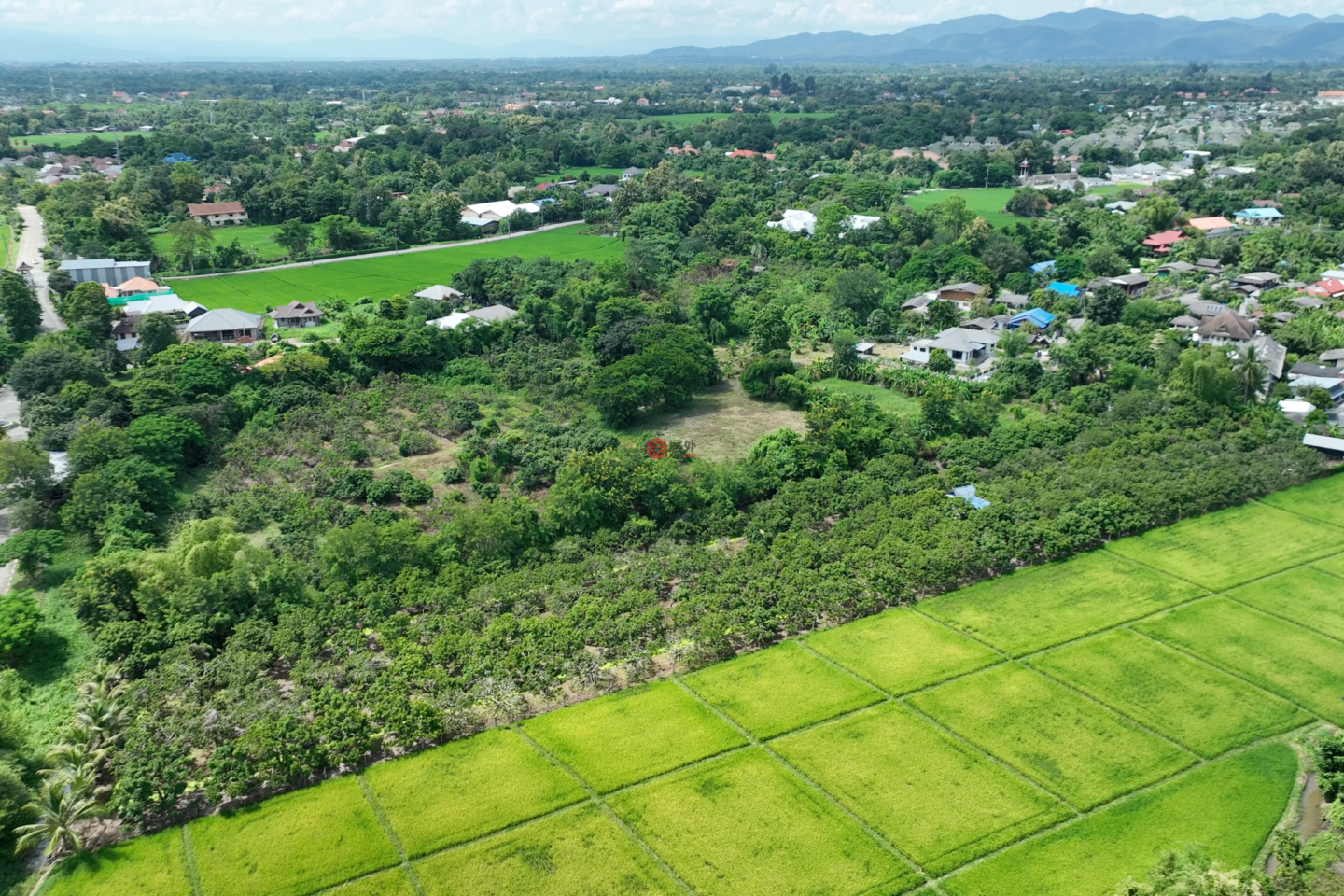 泰国Chang Wat Chiang MaiChiang Mai的住宅用地,Doi Saket District,编号76917077