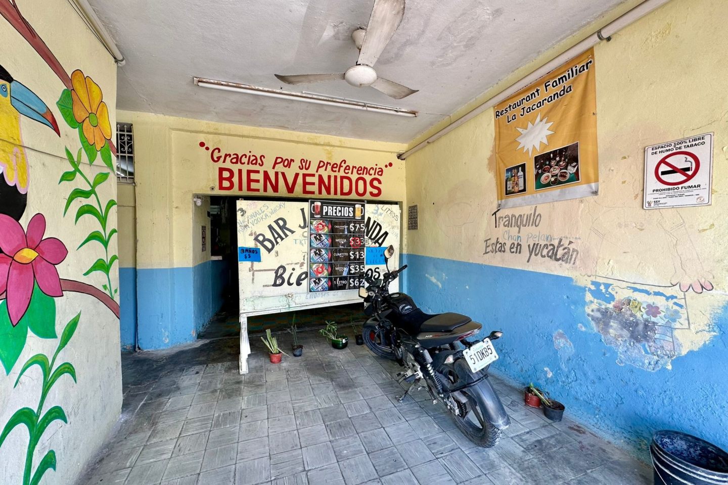 墨西哥尤卡坦梅里达的独栋别墅，57，编号78523174