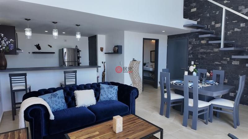 墨西哥金塔纳罗奥卡门海滩的公寓，10 Av. Sur，编号78524278