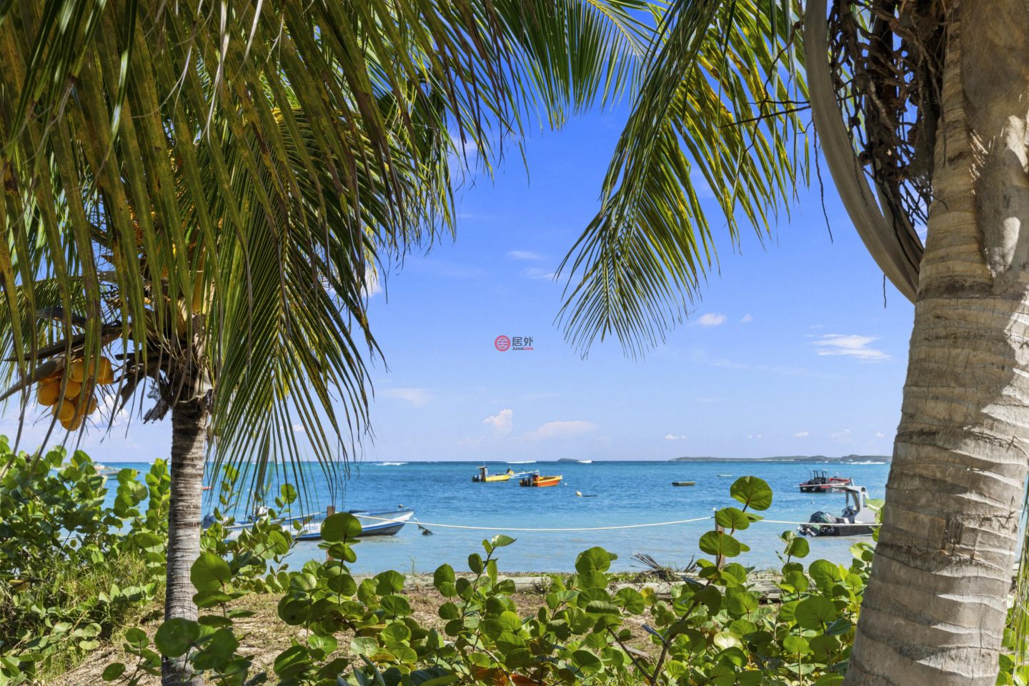 安圭拉AnguillaAnguilla的独栋别墅，Island Harbour Artist's Walk，编号76438705