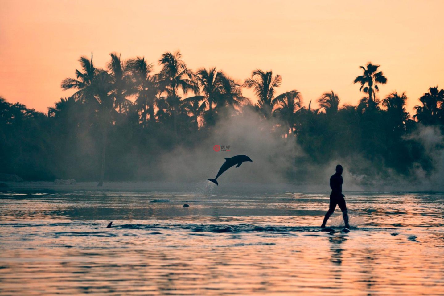 巴哈马天堂岛的公寓，Reef 12-921 One Casino Drive，编号78467801