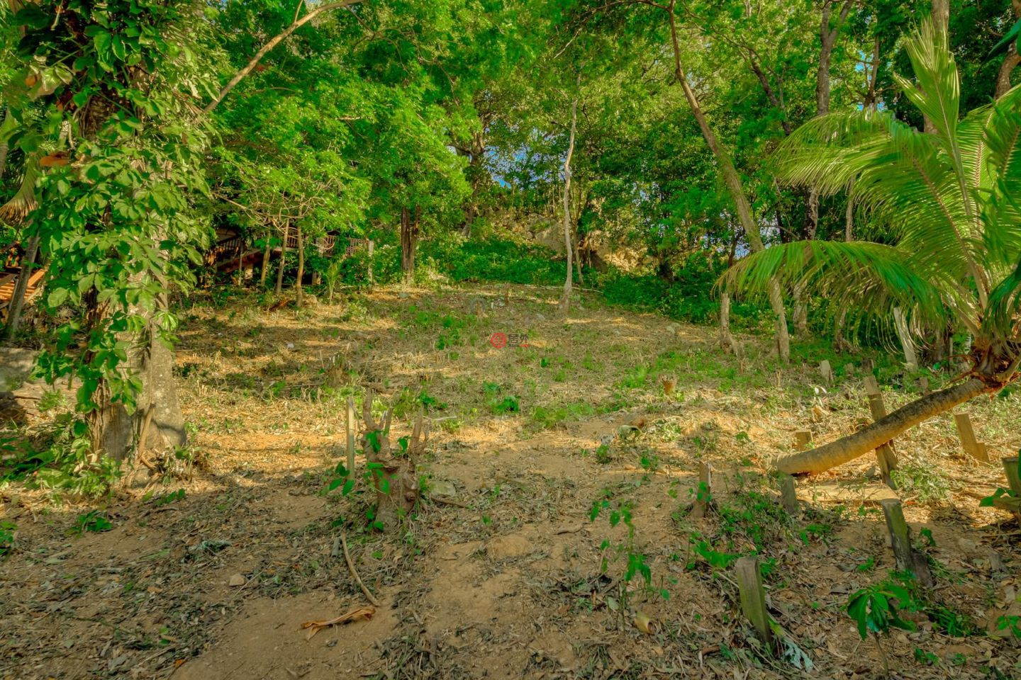 洪都拉斯海湾群岛Roatán的住宅用地，Beautiful West Bay Lot of 0.45 Acres with Ocean Views，编号77263658