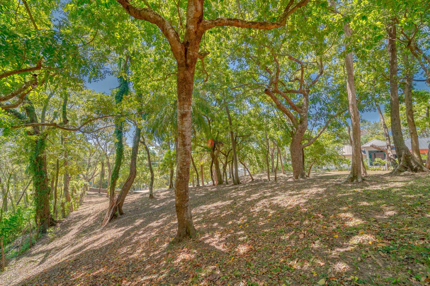 洪都拉斯海湾群岛Roatán的住宅用地，Lot 35 in the Prestigious Lawson Rock，编号76794716