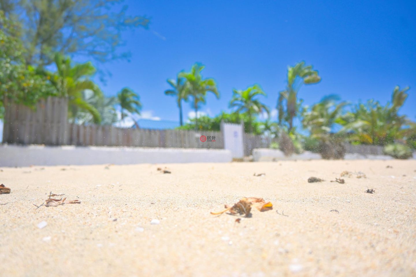 牙买加圣安妮拉納韋貝的公寓，Ocean Park，编号78170581