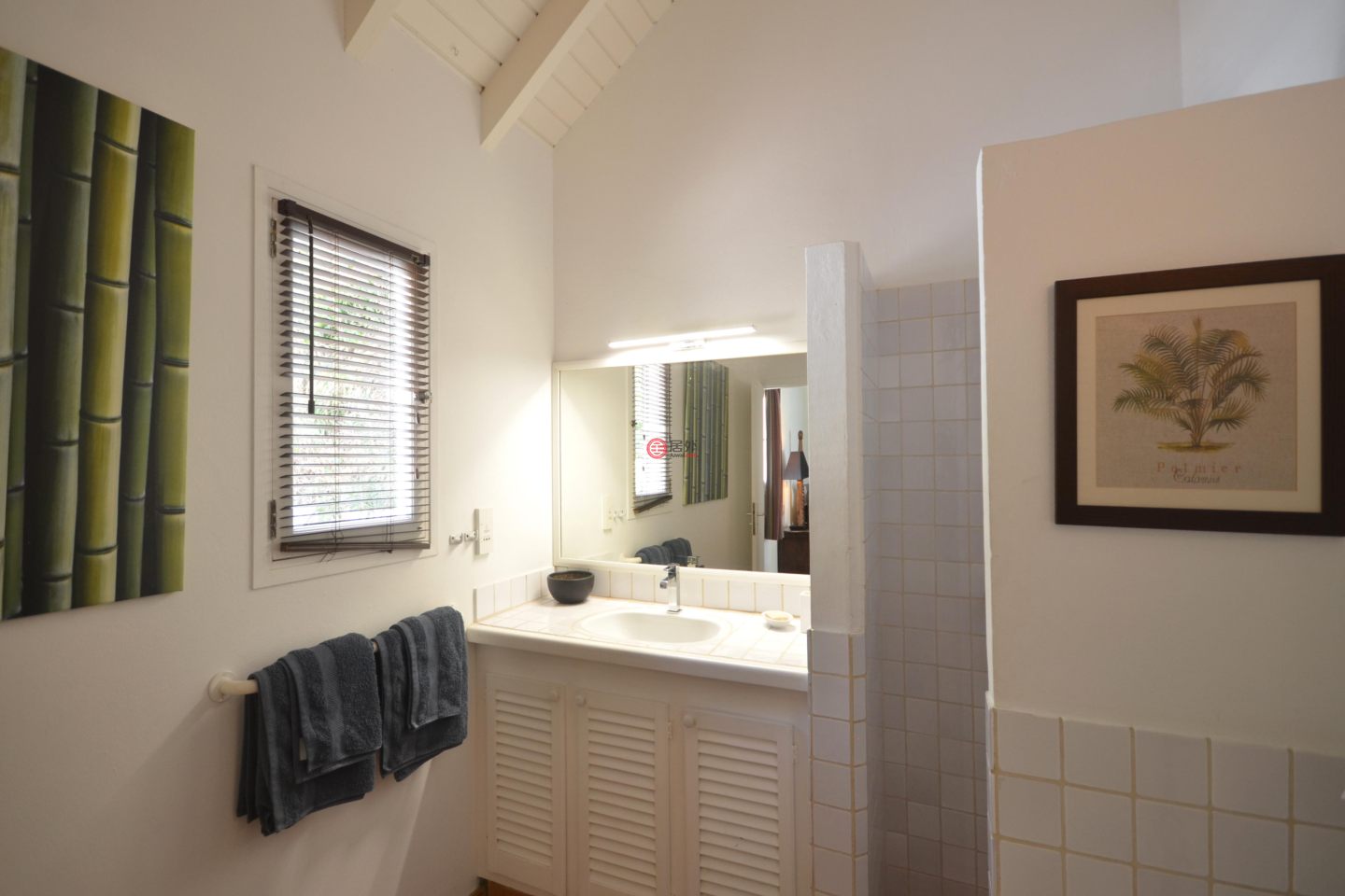 圣巴泰勒米岛Marigot的独栋别墅，Bougainvilliers，编号77090381