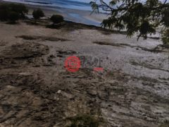 斐济NadiNadi的商业用地，Uciwai rd，编号68055581