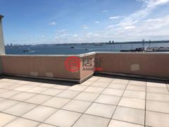 美国纽约州Staten Island的商业转让，Richmond ter，编号77880732