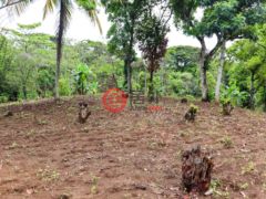 尼加拉瓜Masaya DepartmentMasaya的住宅用地，Finca de Frutas Niquinomo，编号71148301