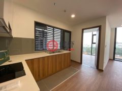 越南Hồ Chí Minh cityHo Chi Minh的公寓，Nguyễn Văn Linh Street，编号71353229