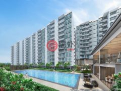 新加坡SingaporeSingapore的公寓，Tampines street 11，编号53170137