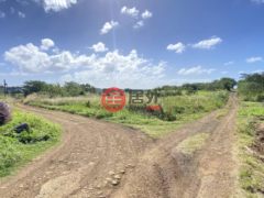 居外网在售毛里求斯The Vale的独栋别墅总占地1061平方米MUR 7,000,000