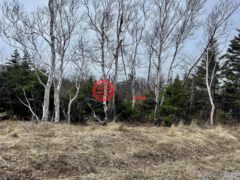 加拿大新斯科舍省Inverness的住宅用地，Broad Cove Banks，编号77734564
