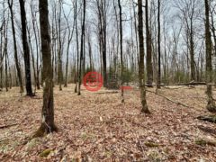 美国威斯康星州克兰登的住宅用地，None On ALLEN RD，编号77893990