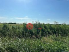 美国俄克拉何马州Hendrix的住宅用地，Peanut Trail，编号74795217
