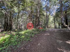 美国加州The Sea Ranch的住宅用地，42180 Deer Trail，编号70037549