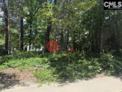 美国南卡罗来纳州哥伦比亚的农业用地，172 Harborside Circle，编号77840237
