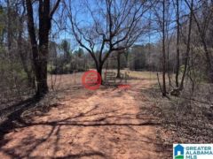 美国阿拉巴马州罗阿诺克的住宅用地，63 Ac. COUNTY ROAD 684，编号77510922