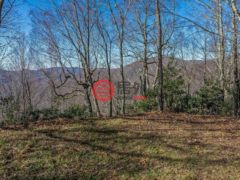 美国北卡罗莱纳州玛吉瓦利的住宅用地，999 Braves Knob Road，编号76430613
