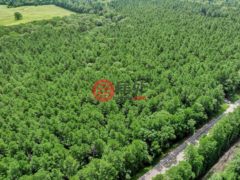 美国德克萨斯州拉夫金的住宅用地，5700 FM 2497，编号78442902