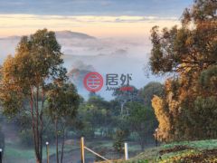 澳大利亚新南威尔士州Woomargama的商业转让，13407 Hume Highway，编号75516007