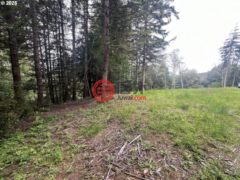 美国俄勒冈州North Bend的住宅用地，None 94253 MISTY RIDGE LN，编号78361531