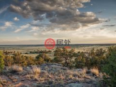美国新墨西哥州Rowe的农业用地，Mile Marker 13 Nm Hwy 34，编号76986136
