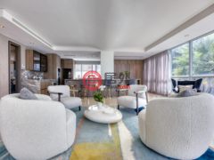 波多黎各Puerto RicoSan Juan的公寓，7 Manuel Rodriguez Serra St. Apt. 2，编号77663076