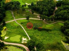 美国密歇根州Centreville的公寓，61809 Stonegate Island Hills GC Drive，编号77636602
