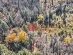 美国威斯康星州菲尔普斯的住宅用地，None Off HAWK SOUP LN，编号77773574