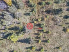美国威斯康星州菲尔普斯的住宅用地，None Off HAWK SOUP LN，编号77773574