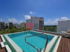墨西哥金塔纳罗奥卡门海滩的公寓，Depto. 601 Edificio Polo 54 Calle 54 S/N entre 5a y 10a，编号77754771