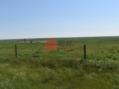 美国科罗拉多州阿克伦的农业用地，None 18755 Hwy 36，编号62535012