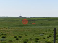 美国科罗拉多州阿克伦的农业用地，None 18755 Hwy 36，编号62535012