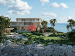 阿联酋迪拜迪拜的独栋别墅，Asora Bay La Mer Jumeirah，编号77348082