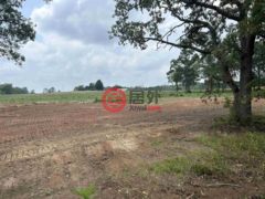 美国德克萨斯州Troup的农业用地，3.35 ACRES tbd County Road 2169，编号76835736