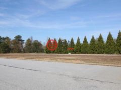 美国佐治亚州Loganville的商业用地，367 SE Athens Highway Unit 1300，编号76777662