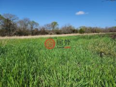 美国德克萨斯州洛恩奥克的住宅用地，None Lot 9 County Road 3401，编号77606324