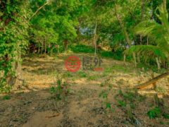 洪都拉斯海湾群岛Roatán的住宅用地，Beautiful West Bay Lot of 0.45 Acres with Ocean Views，编号77263658