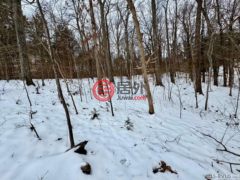 美国佛吉尼亚州Buffalo Junction的可移动住宅，None Lot 21 KIngswood Road，编号77697965