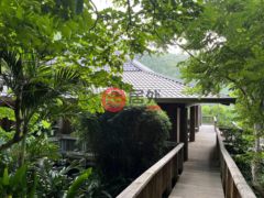 荷兰加勒比区Saba的独栋别墅，Haiku House Troy Hill，编号73426021