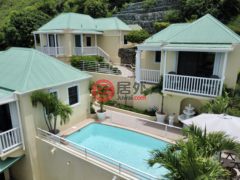 英属维尔京群岛的独栋别墅，Villa Rosa Belmont，编号76161965