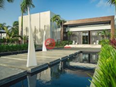 多明尼加La AltagraciaHigüey的独栋别墅，None 000 154 Cap Cana 23000 Dominican Republic，编号77771277