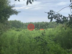 美国密西西比州Conehatta的住宅用地，None Thrash Road，编号77777445