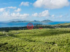 圣克里斯托弗和尼维斯岛NevisSt. Thomas Lowland的住宅用地，Cotton Heights Sunset Ridge Road，编号71695948