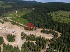 加拿大不列颠哥伦比亚省Sun Peaks的公寓，LOT 9 MCGILLIVRAY LAKE，编号75526188