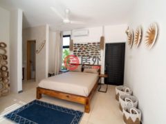 多明尼加萨马纳Las Terrenas的独栋别墅，Calle Salome Ureña，编号78300314