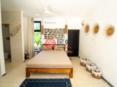 多明尼加萨马纳Las Terrenas的独栋别墅，Calle Salome Ureña，编号78300314