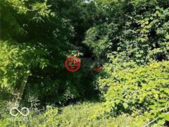 美国印地安那州福特维尔的独栋别墅，18378 Southeastern Parkwa，编号78346289