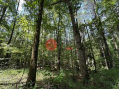 美国密西西比州列克星敦的住宅用地，None 1 Rockport Rd，编号78362220